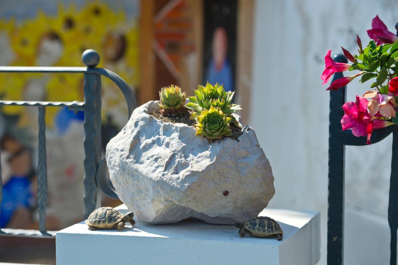 フローレ La Mela Blu Bed & Breakfast エクステリア 写真